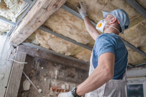 Best Insulation Maintenance and Repair in Erwin, TN